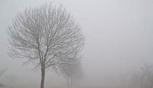 多家企业气体排放不达标