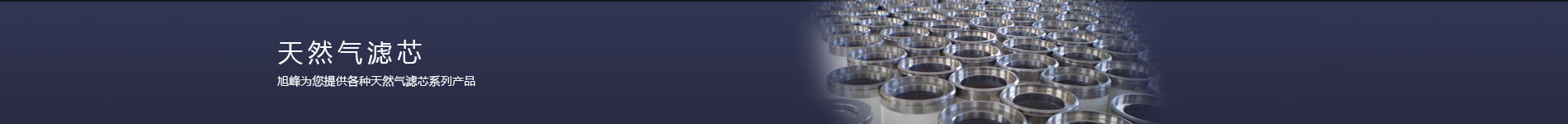 天然气滤芯